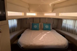 2025-invictus-tt460-for-sale-in-dubai-3
